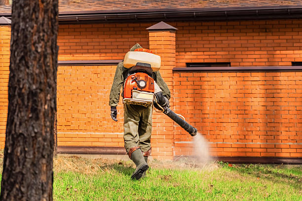 Trusted Mosquito Control service in Kalaeloa, HI - Nex Pest Control